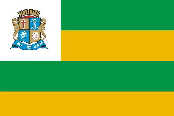 Vista Superior Bandeira Aracaju Brasil Viagem Brasileira Conceito Patriota Não — Fotografia de Stock