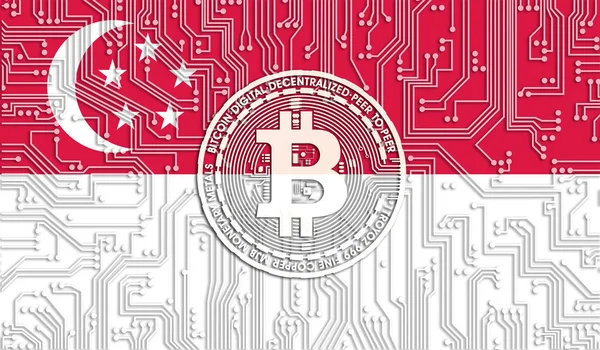 Singapur ve Bitcoin bayrağı, Entegre Devre Kurulu deseni. Bitcoin Stok Büyümesi. Kripto para birimi ve Engelleme Teknolojisi yatırımcıları için kavramsal görüntü.