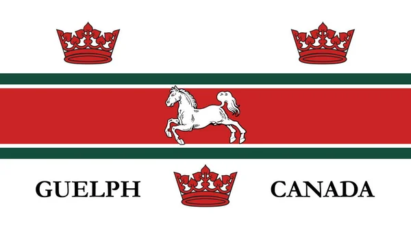 加拿大格尔夫国旗的最高视图 加拿大爱国者和旅行概念 没有旗杆 平面设计 国旗背景 — 图库照片