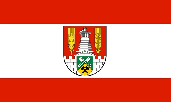 Ovanifrån Salzgitters Flagga Förbundsrepubliken Tyskland Ingen Flaggstång Plandesign Layout Flaggbakgrund — Stockfoto