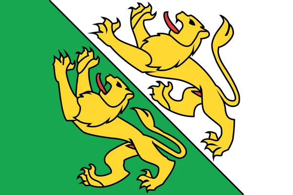 Top Kilátás Zászló Canton Thurgau Svájc Svájci Utazási Hazafias Koncepció — Stock Fotó