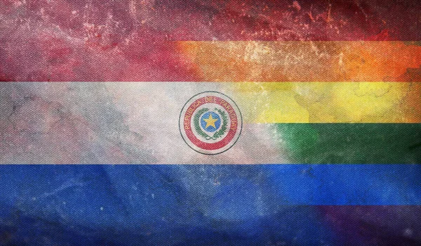 Vista Superior Bandera Nacional Lgbt Retro Paraguay Con Textura Grunge — Foto de Stock