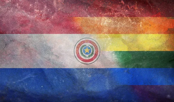 Top View National Lgbt Retro Flag Paraguay Grunge Texture Flagpole — Stock Photo, Image