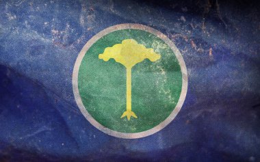 Brezilya 'nın en iyi retro bayrağı Sao Carlos, grunge desenli. Brezilya seyahati ve vatanseverlik kavramı. Bayrak direği yok. Uçak tasarımı, tasarım. Bayrak arkaplanı