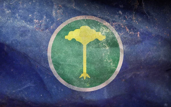 Brezilya 'nın en iyi retro bayrağı Sao Carlos, grunge desenli. Brezilya seyahati ve vatanseverlik kavramı. Bayrak direği yok. Uçak tasarımı, tasarım. Bayrak arkaplanı