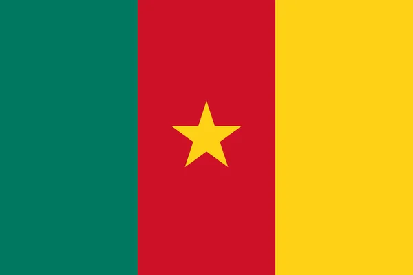 Вид Сверху Официальный Флаг Камеруна Путешествия Патриотическая Концепция Флагштока Дизайн — стоковое фото