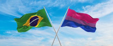 Brezilya 'nın ulusal bayraklarını aştı ve bulutlu gökyüzünde rüzgarda sallanan iseksüellik gururu bayrağını salladı. İlişkiyi, diyaloğu, iki ülke arasında seyahat etmeyi sembolize ediyor. Boşluğu kopyala