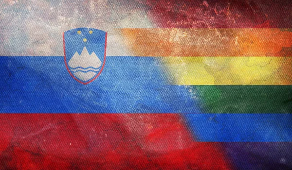Top View National Lgbt Retro Flag Slovenia Grunge Texture Flagpole — Stock Photo, Image