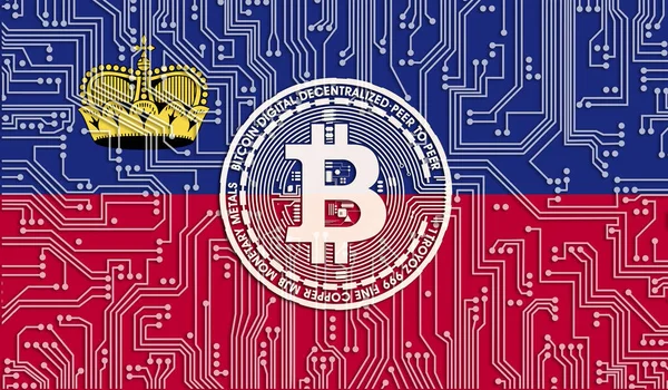 Liechtenstein Bitcoin Bayrağı Entegre Devre Kurulu Deseni Bitcoin Stok Büyümesi — Stok fotoğraf