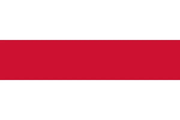 Top View Flag Enschede Netherlands Dutch Travel Patriot Concept Flagpole — Stock Fotó