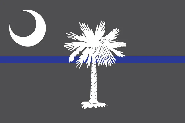 Top View Blue Line Flag South Carolina State Usa United — Zdjęcie stockowe