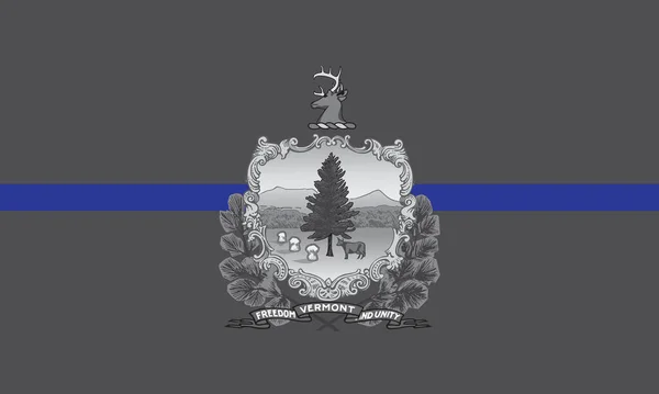 Pohled Shora Modrou Vlajku Státu Vermont Usa Policejní Vlajka Spojených — Stock fotografie