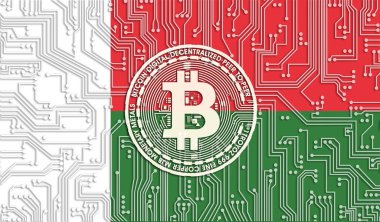Madagaskar ve Bitcoin bayrağı, Entegre Devre Kurulu deseni. Bitcoin Stok Büyümesi. Kripto para birimi ve Engelleme Teknolojisi yatırımcıları için kavramsal görüntü.