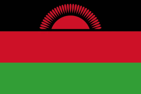 Pohled Shora Oficiální Vlajku Malawi Patriot Cestovní Koncept Žádný Stožár — Stock fotografie