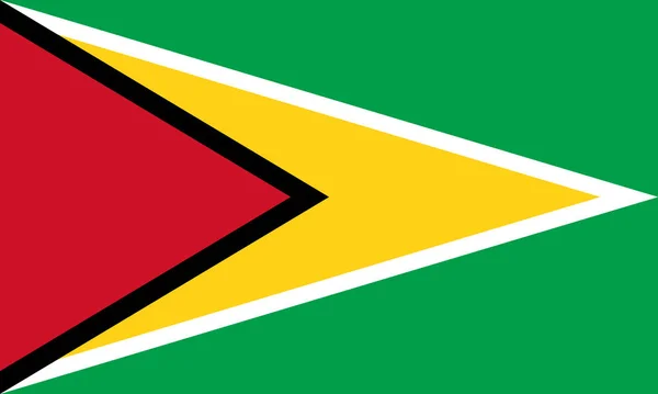 Vista Superior Bandera Oficial Guyana Concepto Viaje Patriota Sin Asta —  Fotos de Stock