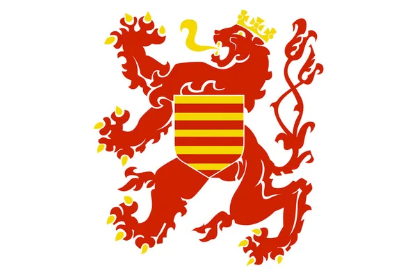 Vista Superior Bandera Limburg Belgium Belgium Concepto Viaje Patriota Belga —  Fotos de Stock