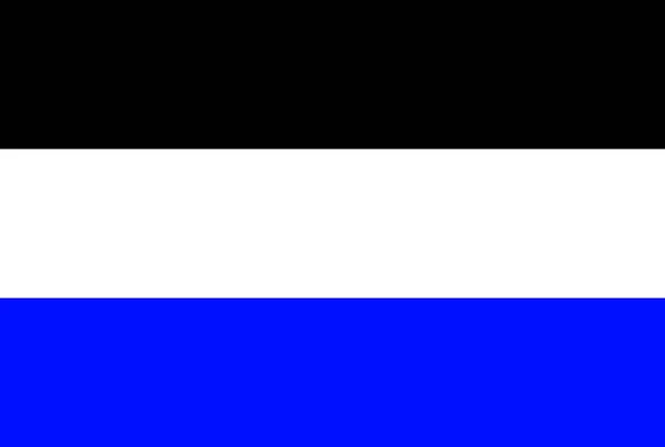 벨기에령 모레스네 벨기에 벨기에 애국자 깃대는 비행기 플래그 — 스톡 사진