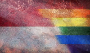 Endonezya 'nın ulusal lgbt retro bayrağının grunge dokusuyla üst görüntüsü, bayrak direği yok. Uçak tasarımı, tasarım. Bayrak arkaplanı. Özgürlük ve aşk kavramı. Gurur ayı. Eylemcilik, toplum ve özgürlük