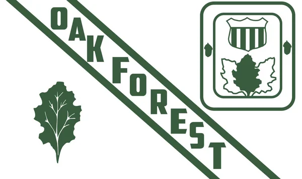 美国伊利诺伊州橡树森林的顶部景观 美国旅行和爱国心的概念 没有旗杆 平面设计 国旗背景 — 图库照片