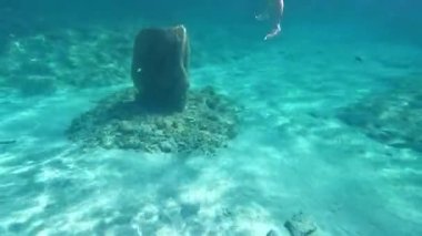 Ecomuseum swimmer in blue water