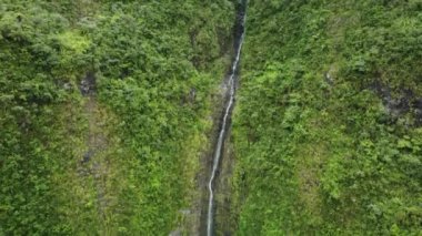 Reunion Adası 'ndaki Biberon Şelalesi