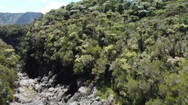 Buluşma Adası 'ndaki dağ ve tepe örtüsü