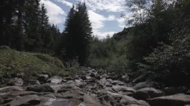 İsviçre 'de Obwalden Kantonu' ndaki Brook.