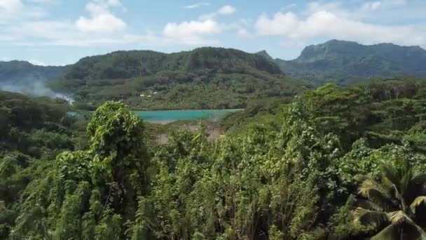 Huahine Florestas Montanhas Vista Drone — Vídeo de Stock