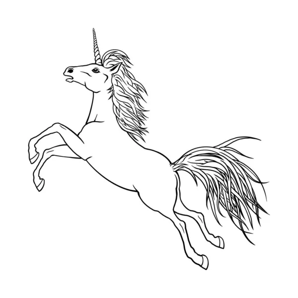 Line horse or unicorn. Isolated black outline jumping running on white background. Curve lines. Page of coloring book. — Stock Photo, Image