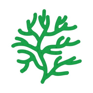 Beyaz arka planda izole edilmiş akvaryum yosunu. Deniz bitkileri, deniz yosunları.