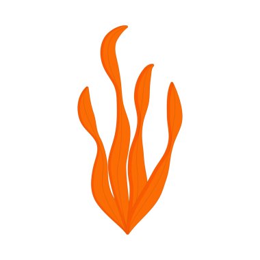 Beyaz arka planda izole edilmiş akvaryum yosunu. Deniz bitkileri, deniz yosunları