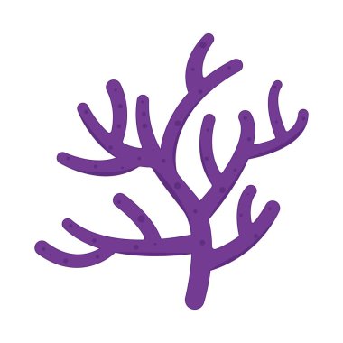 Beyaz arka planda izole edilmiş akvaryum yosunu. Deniz bitkileri, deniz yosunları