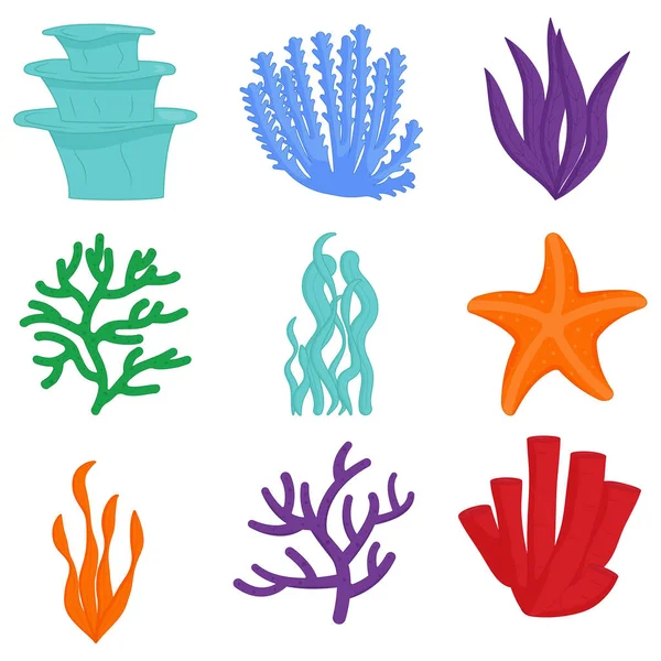 Aquarium seaweed set. Sea plants, ocean algae — Stock Vector