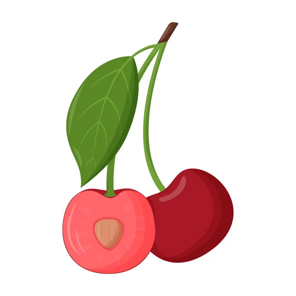 Cereza roja entera con hoja verde aislada sobre fondo blanco. Ilustración vectorial plana — Archivo Imágenes Vectoriales