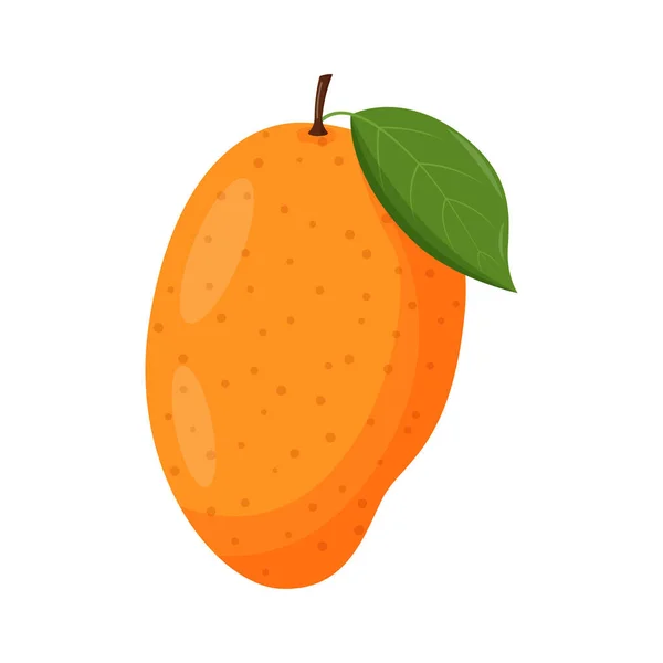 Mango integral con hoja verde aislado sobre fondo blanco. Ilustración vectorial plana — Vector de stock