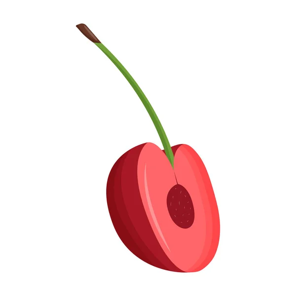 Mezza ciliegia rossa isolata su fondo bianco. Illustrazione vettoriale piatto — Vettoriale Stock