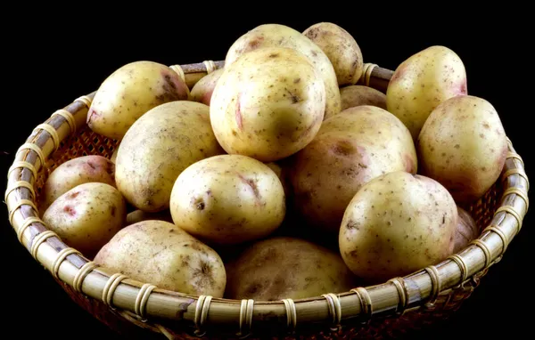 一筐新采摘的有机土豆 背景是黑色的 — 图库照片