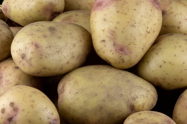 新鲜采摘有机土豆的截图 — 图库照片