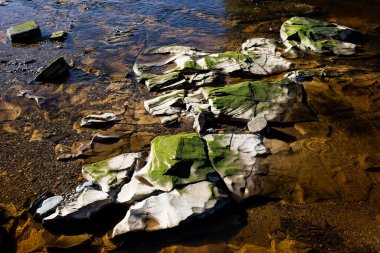 Nehir yatağında kaya oluşumu ve taşlar düşük su koşullarında.
