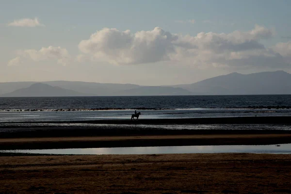 Deserted Beach Horse Rider Dusk — Stock Photo, Image