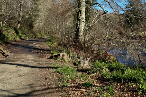 Country Riverside Footpath Early Spring Morning — Foto de Stock
