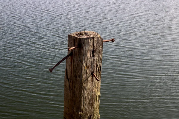 Ancient Wooden Post Old Rusting Steel Nails Coastal Location — Stock Photo, Image