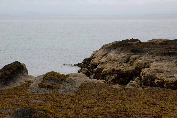 Rocky Outcrop Seaweed Covering Coastal Location Imagen de archivo