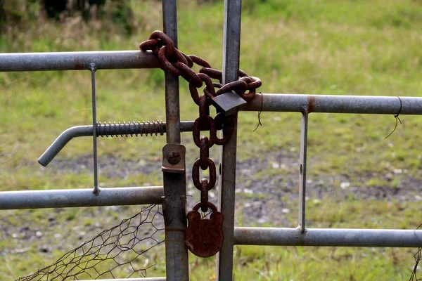 Rusting Padlocks Chain Tubular Steel Farm Field Gate — Φωτογραφία Αρχείου
