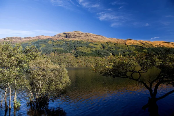 Skoçya Daki Lomond Gölü Nün Yamaç Orman Manzarası — Stok fotoğraf