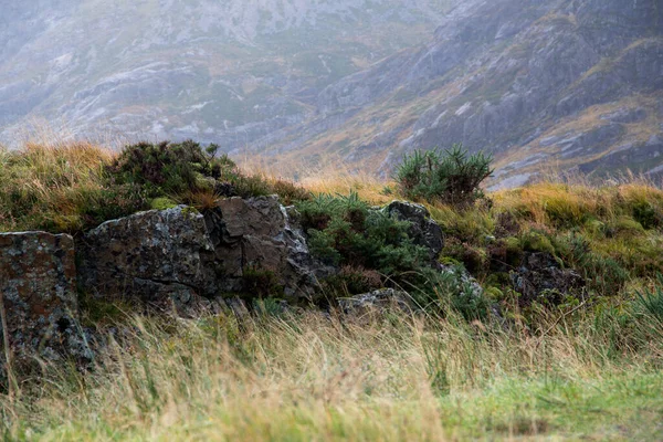 Древняя Каменная Стена Сохранилась Шотландском Нагорье — стоковое фото