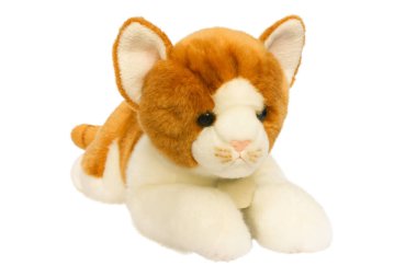 Beyaz arka planda izole edilmiş şirin yumuşak peluş oyuncak kedi.