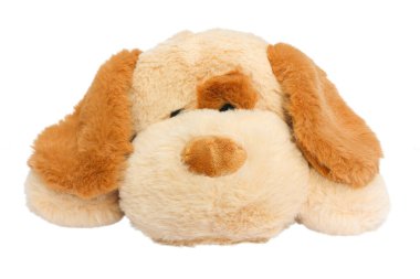 Beyaz arka planda izole edilmiş şirin peluş oyuncak köpek.