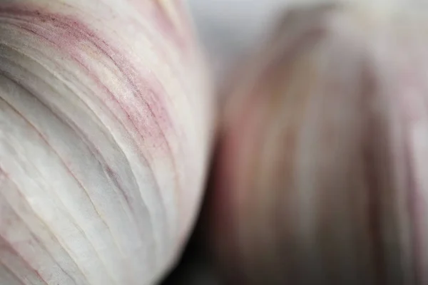 Two cloves of purple-veined garlic macro shot