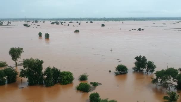 Kolhapur India 2021年7月24日 马哈拉施特拉邦西部季风暴雨后Ichalkaranji洪泛区的航空图 — 图库视频影像